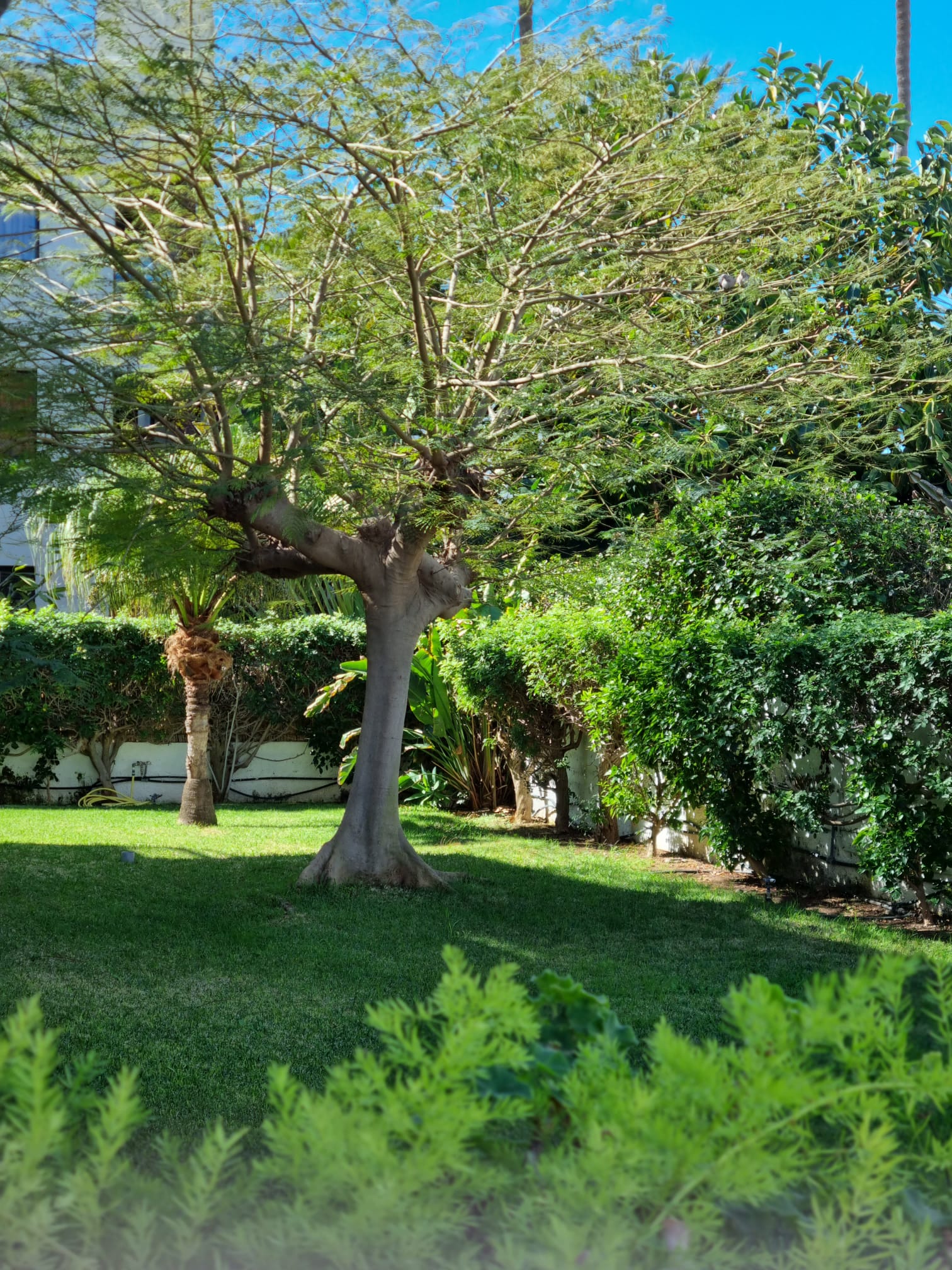 WhatsApp Image 2023-01-23 at 11.10.57